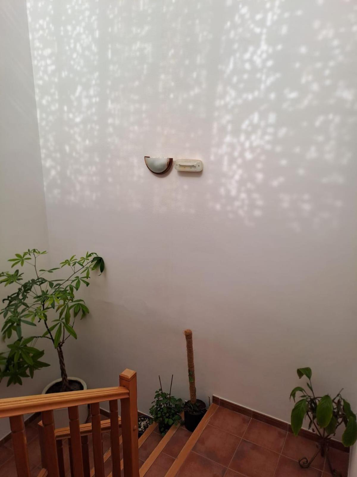 Delicias Hotel Peraltilla Luaran gambar